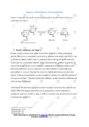 Bestemmelse af enzymaktivitet | Rapport Biologi