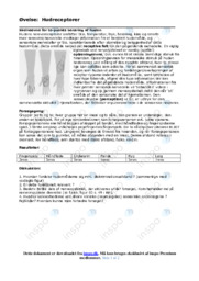 Hudreceptorer | Øvelse Biologi