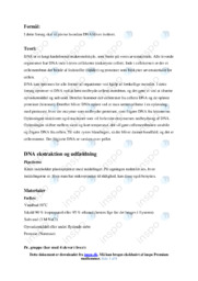 Hvordan DNA bliver isoleret | Forsøg Biologi