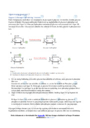 Glycogen-ophobning i leveren | Noter Biologi