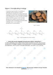 Bionedbrydelig emballage | Bioteknologi