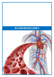 Blodkredsløbet | Bioteknolog