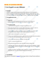 Øjets blindeplet | Rapport | Fysik