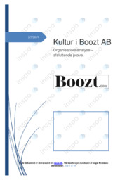 Kultur i Boozt AB | Organisationsanalyse | Over 44 sider