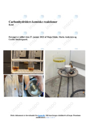 Carbonhydriders kemiske reaktioner | Rapport | Kemi