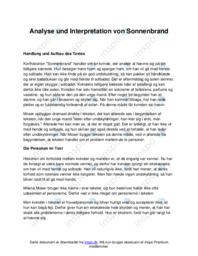 Analyse und Interpretation von Sonnenbrand