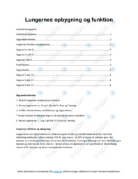 Lungernes opbygning og funktion