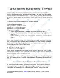 Typevejledning Budgettering, B niveau