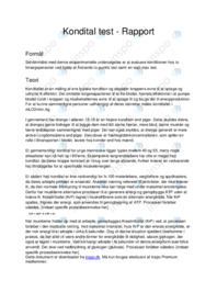Kondital test rapport