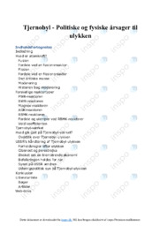 Tjernobyl | Politiske og fysiske årsager til ulykken