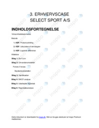 Erhvervscase om Select Sport