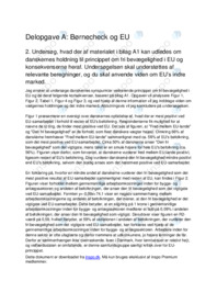 Delopgave A – Børnecheck og EU