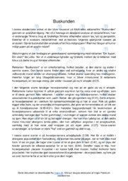 Dansk STX 10 | Analyse af BUSSEN 2 | Buskunden