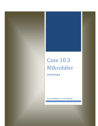 Den danske bilbranche | En brancheanalyse