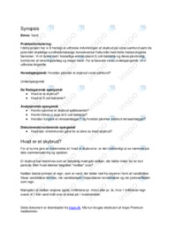Effekten af skybrud  Synopsis
