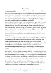 Montana Møbler Virksomhedsanalyse