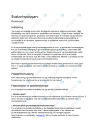 Eksempel på evalueringsopgave