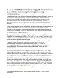 Fleggaard afsætningsopgave