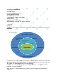 Tigers omverden og SWOT