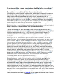 Hvorfor udvikler nogle mennesker sig til at blive terrorister?