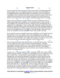 Essay om krigens skildring i kunst og litteratur