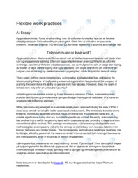 Flexible Work Practices Engelsk Essay + Email