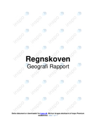 Regnskoven