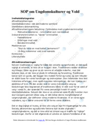 SOP om Ungdomskulturer og Vold