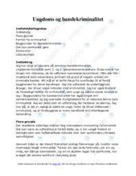 Ungdoms og bandekriminalitet