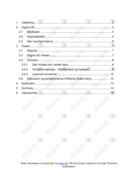 Festen og Dogme95 | SSO