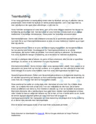 Teambuilding i floorball