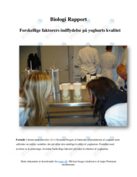 Syrning af yoghurt | Rapport