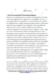Eace Gum | Virksomhedsanalyse