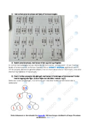Double Karyotype