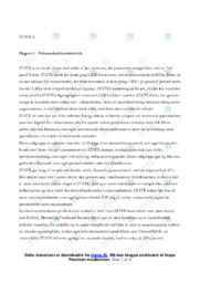 STATE | Virksomhedsanalyse