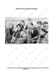 Nazisternes forfølgelse af jøder | Analytisk resumé