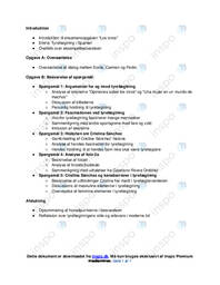 Los toros Spansk Eksamen 23. August 2013