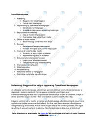 Informationskampagne i kommunikation/It C