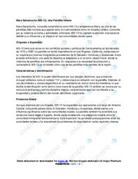 Mara Salvatrucha | Las pandillas | Spansk