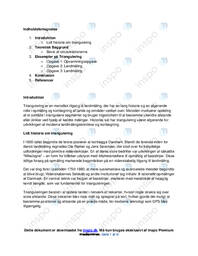 Projekt i Matematik | Triangulering og Landmåling | Rapport