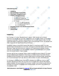 Analyse af Slaughterhouse 5 | SRO