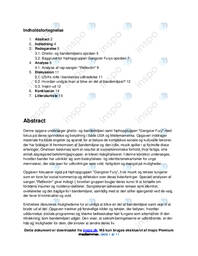 Ghetto- og bandemiljøet og Gangster Fury | SRO