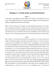 Delopgave C: Sociale medier og identitetsdannelse