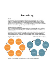Journal om Havstrømme | Naturgeografi