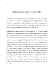 Skriftlig litterær analyse: Transfervindue