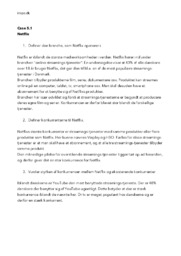 Netflix Afsætning Case