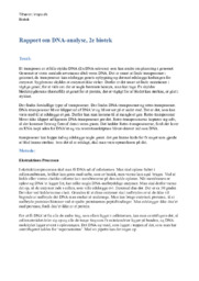 DNA-analyse | Rapport