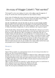 Not wanted | Essay