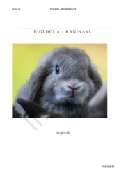 Kaninavl | Biologi Rapport
