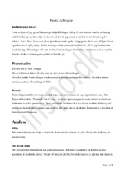 Punk Afrique | Analyse